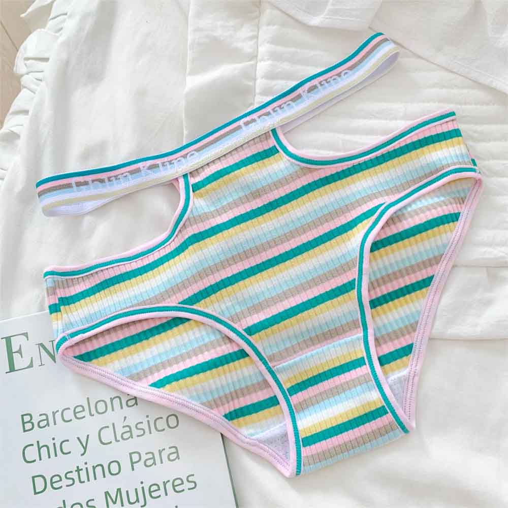 Rainbow Stripe Panties for Trans Women detail image 3