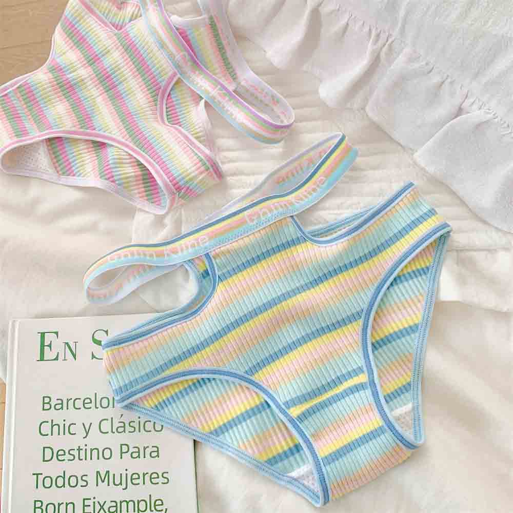 Rainbow Stripe Panties for Trans Women detail image 4